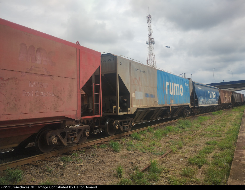 RUMO HPT-031132-4